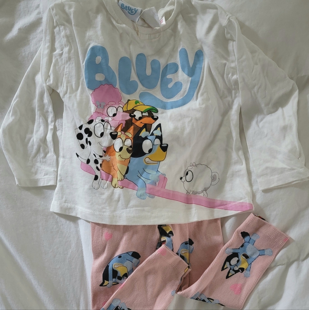 NWT Zara Bluey set